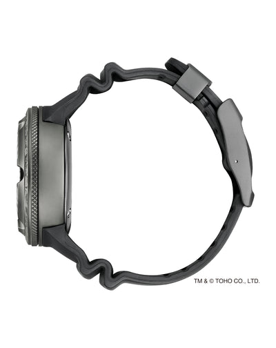 BJ8056-01E