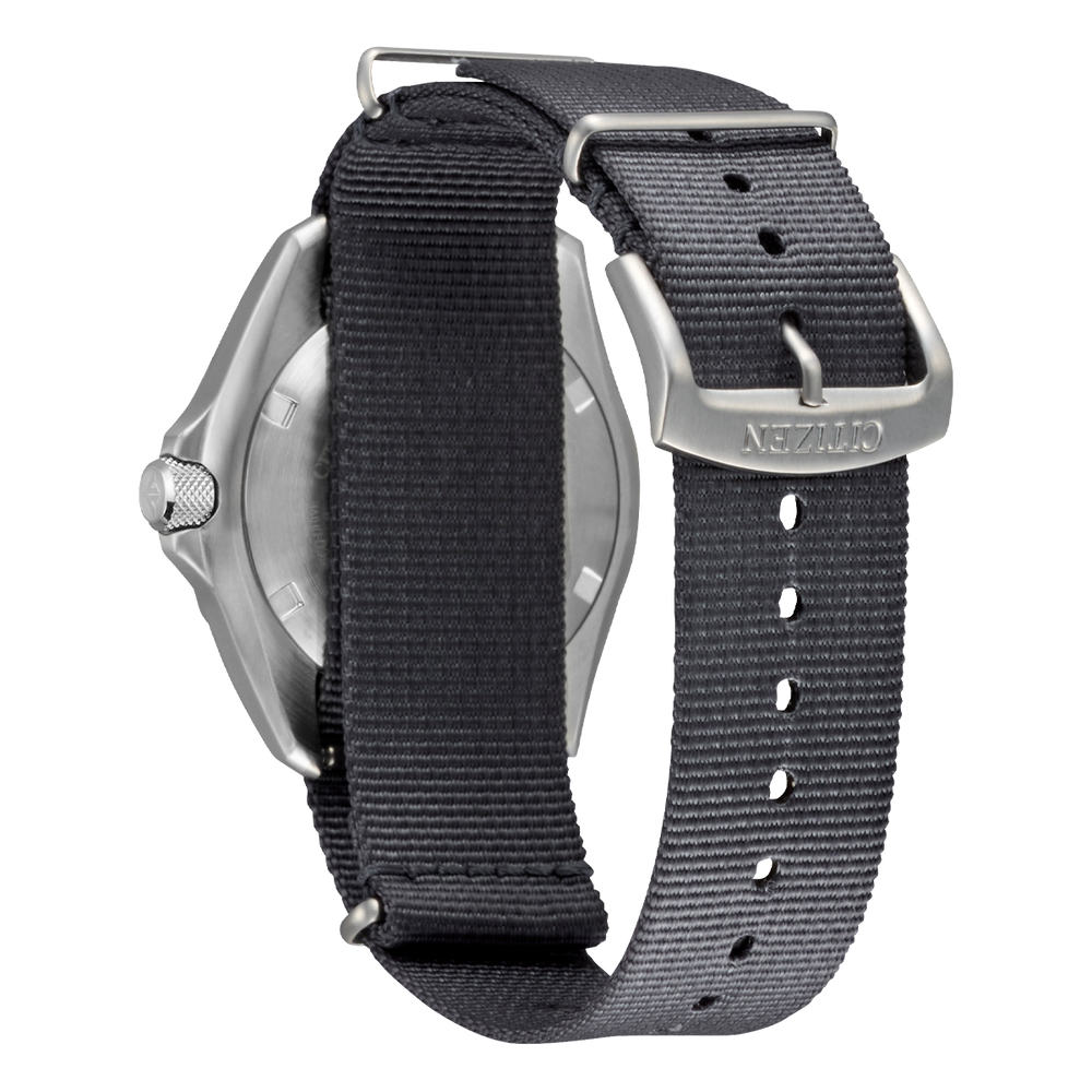 Promaster Land GMT