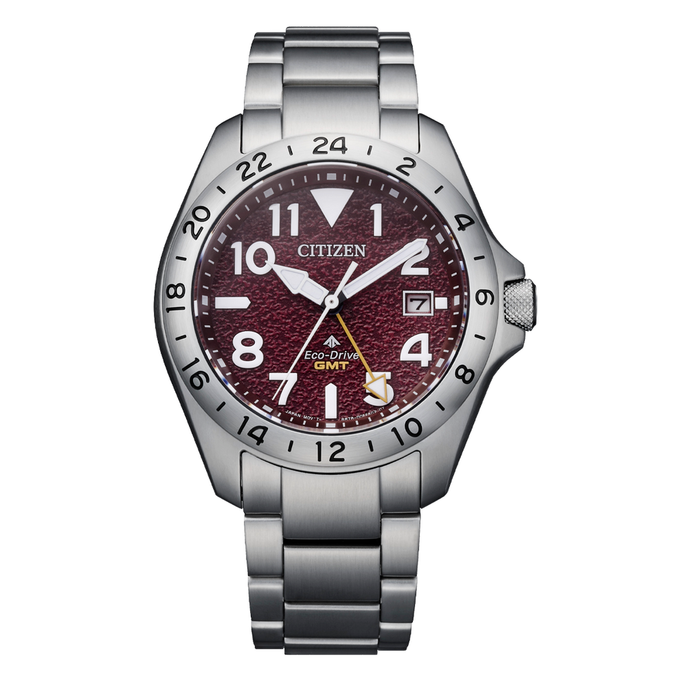Promaster Land GMT