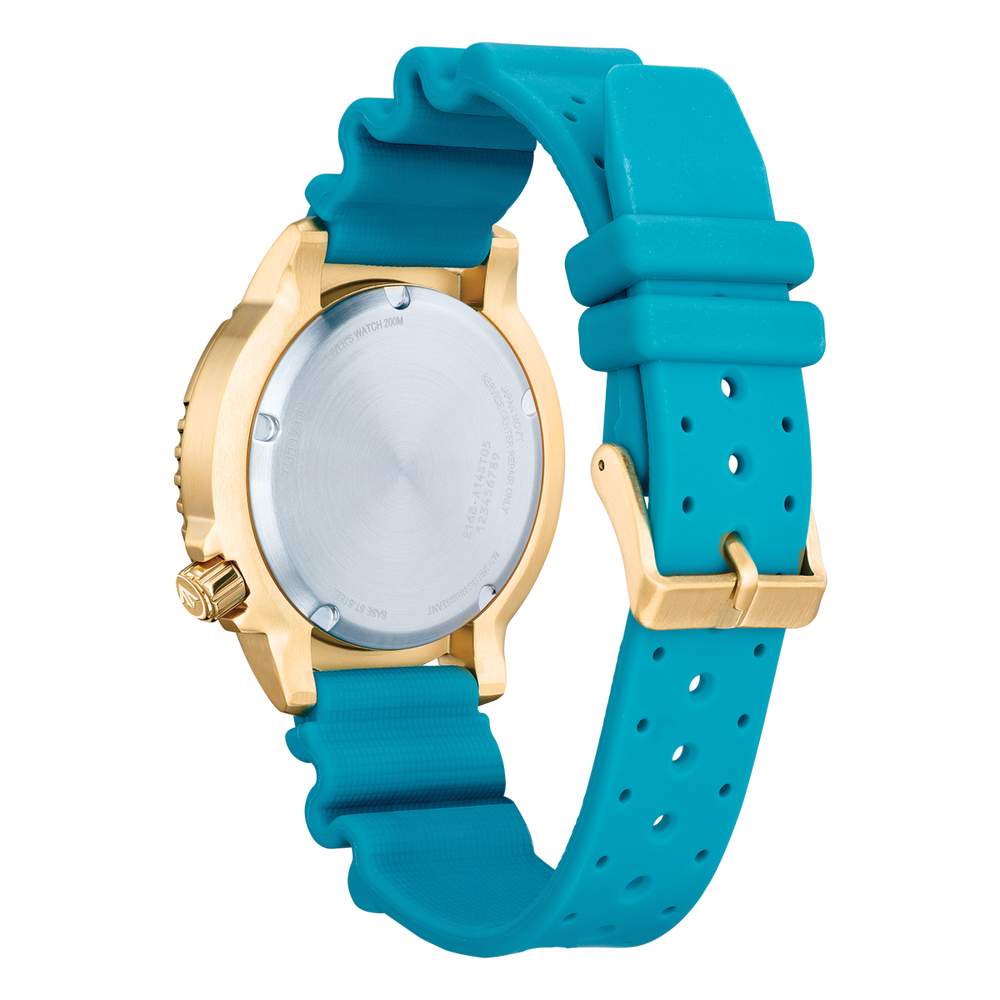 Promaster Marine