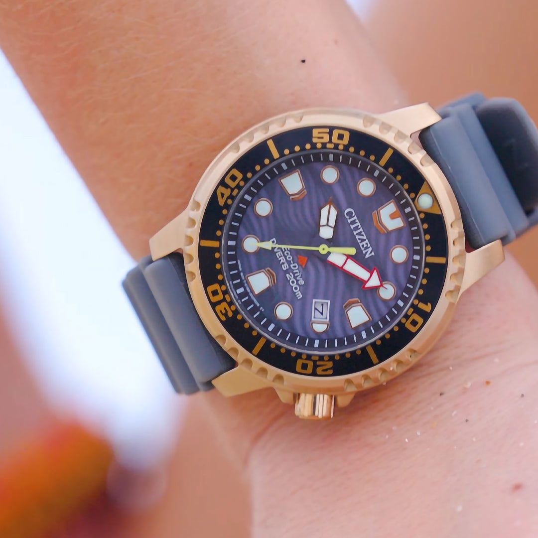 Promaster Marine