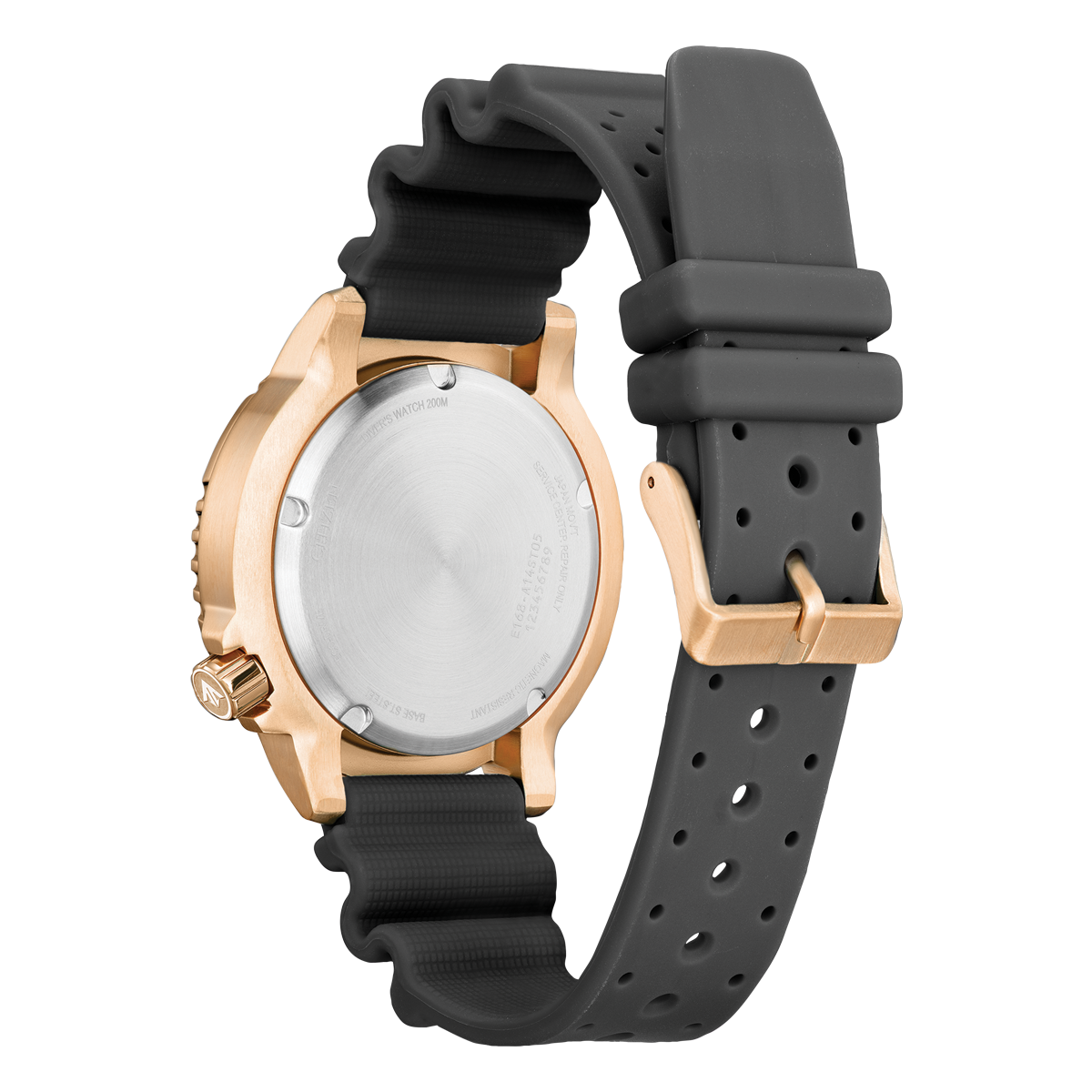 Promaster Marine