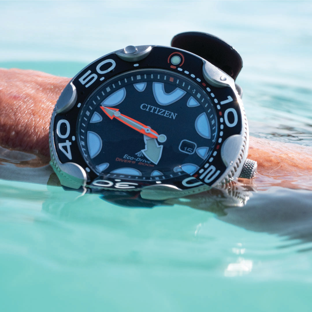 Promaster Marine Orca