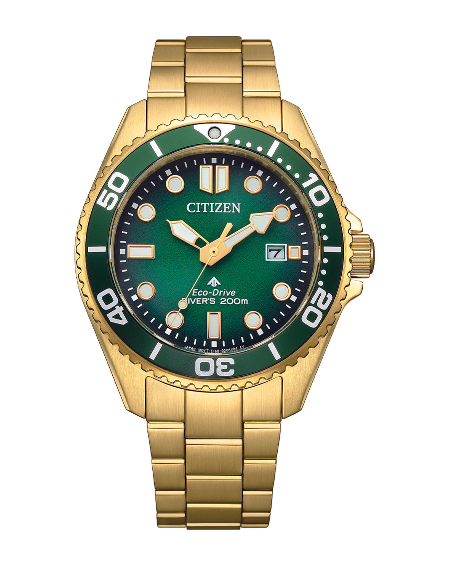 BN0262-59W