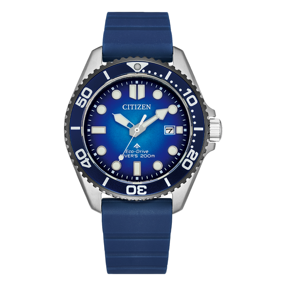 Promaster Marine