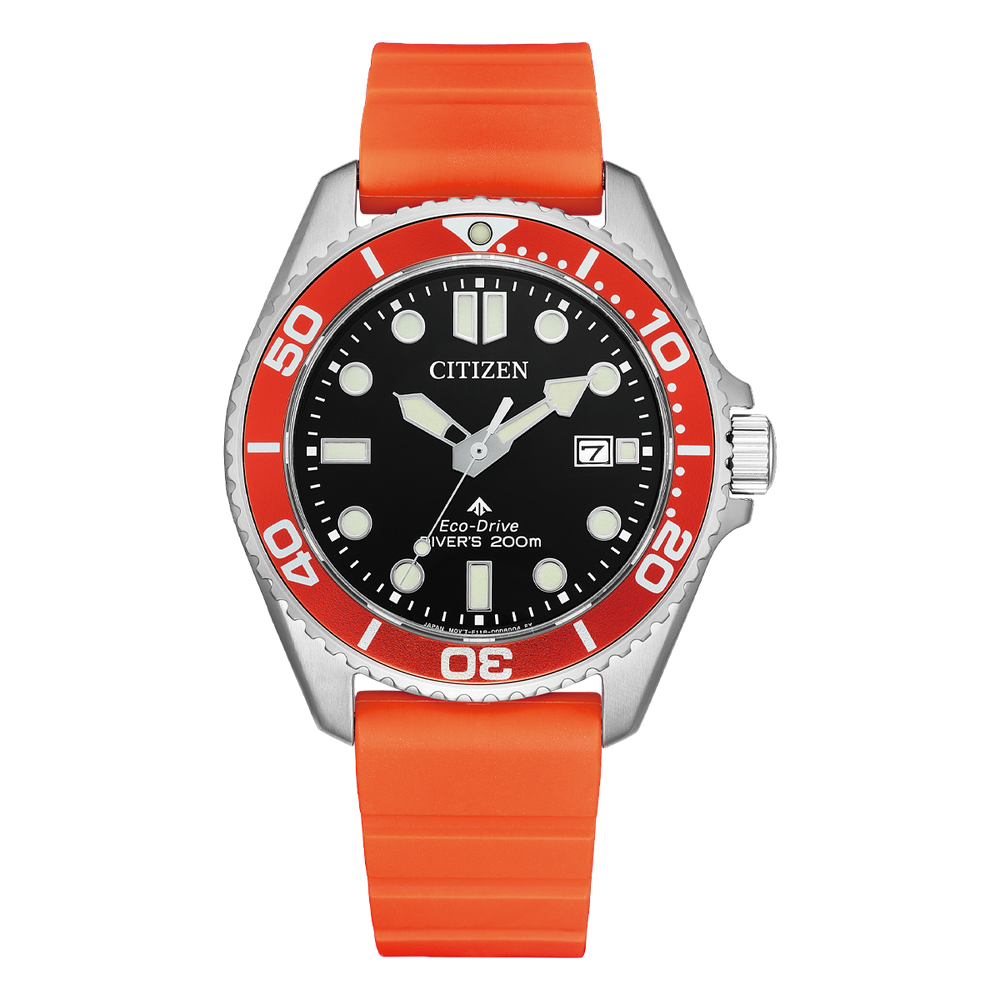 Promaster Marine