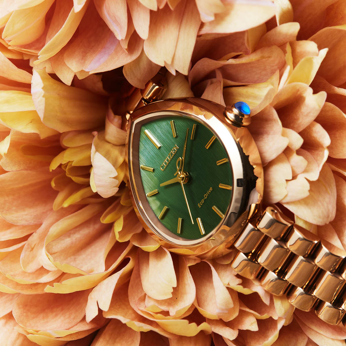 Citizen L Rainell