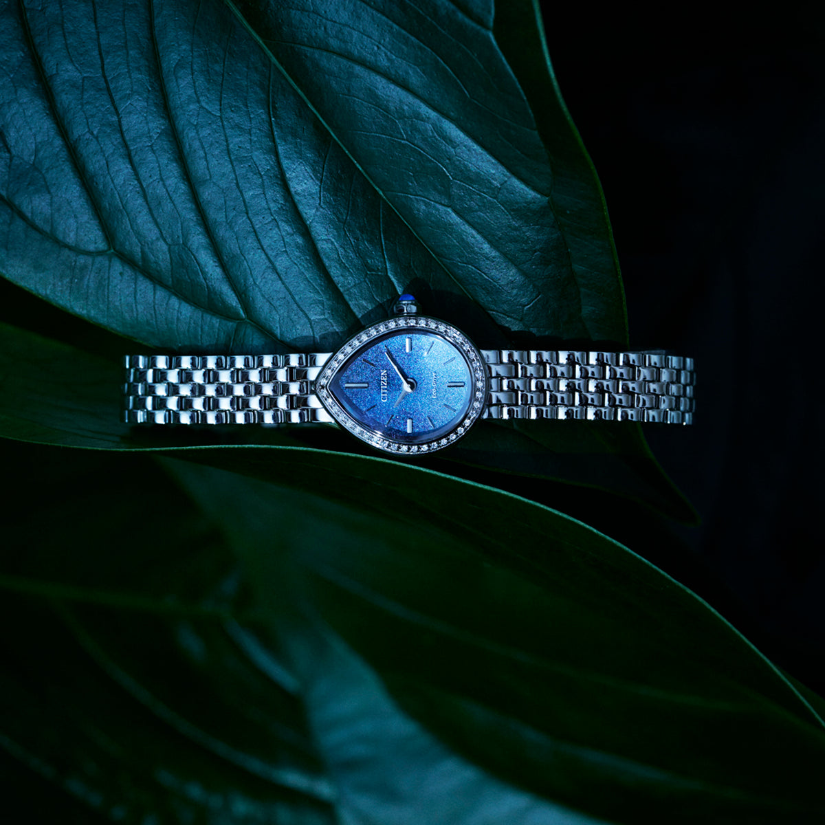 Citizen L Rainell