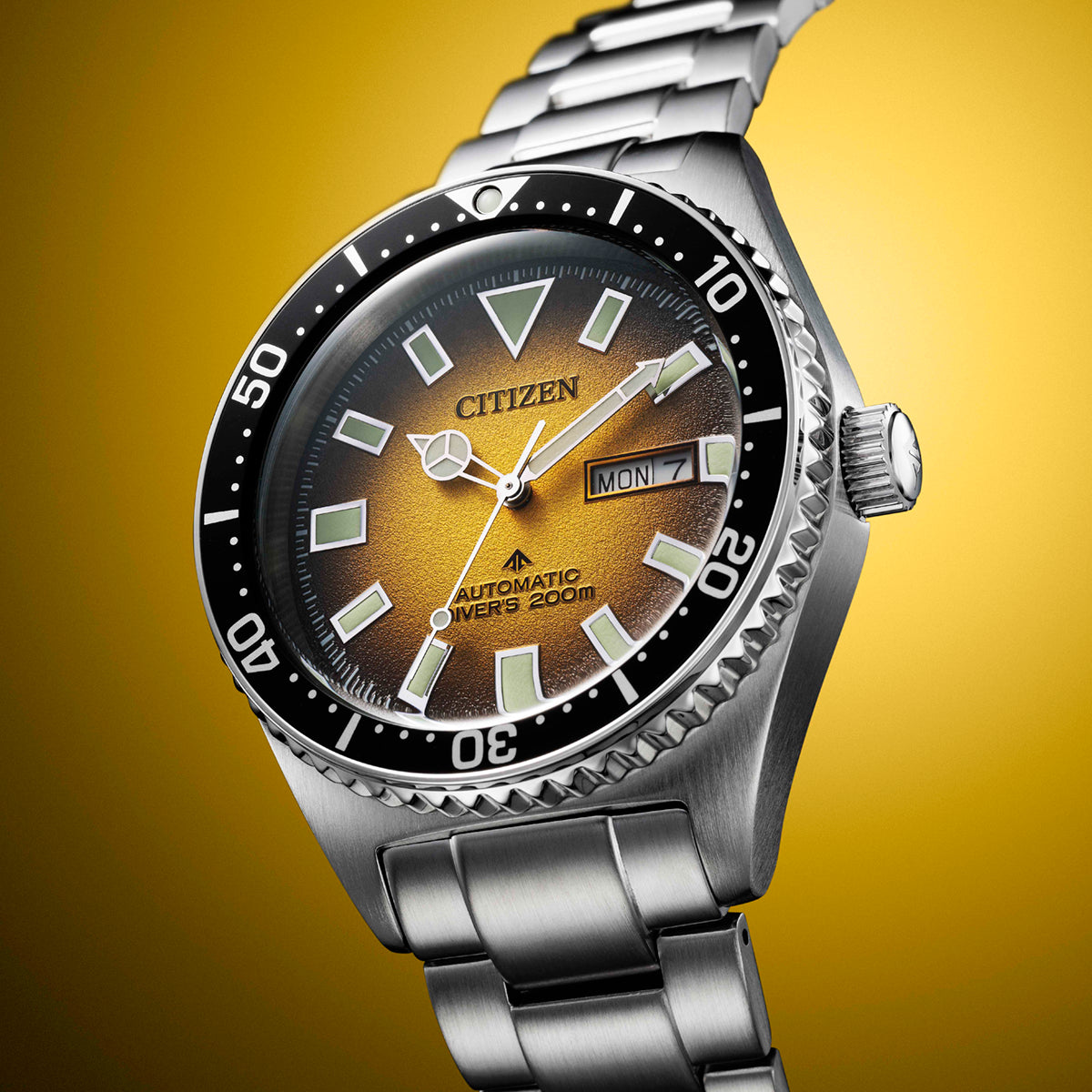 Promaster Marine