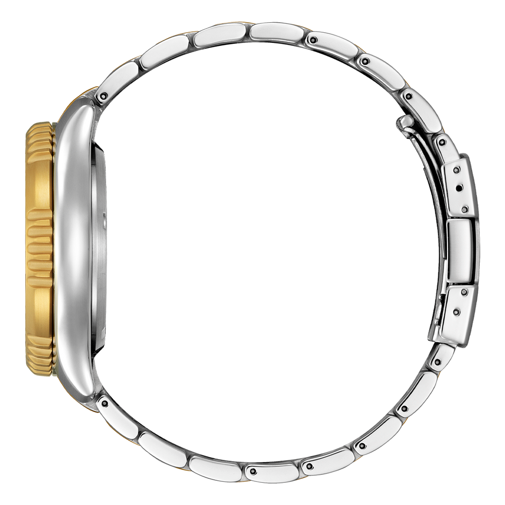 Promaster Marine Fugu