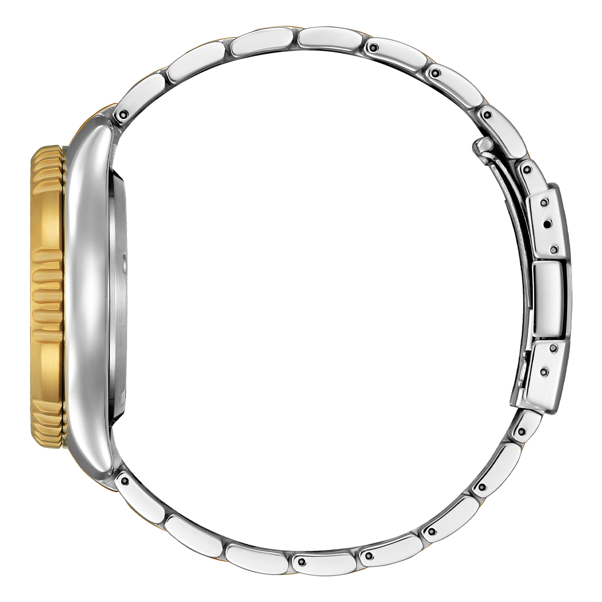 Promaster Marine Fugu