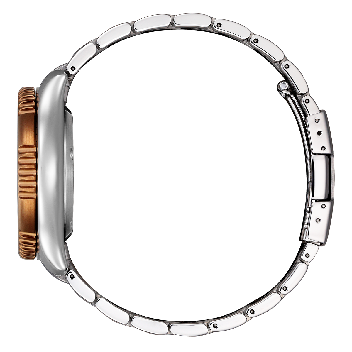 Promaster Marine Fugu