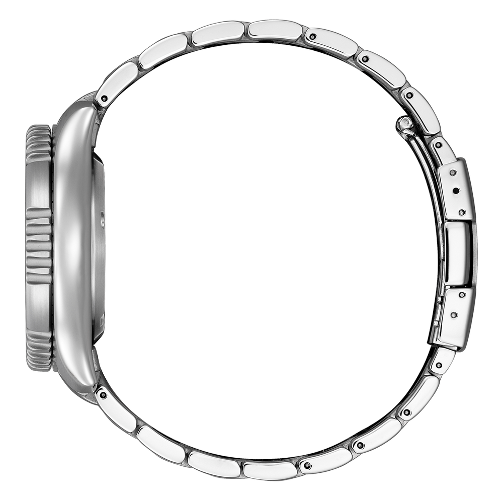 Promaster Marine Fugu