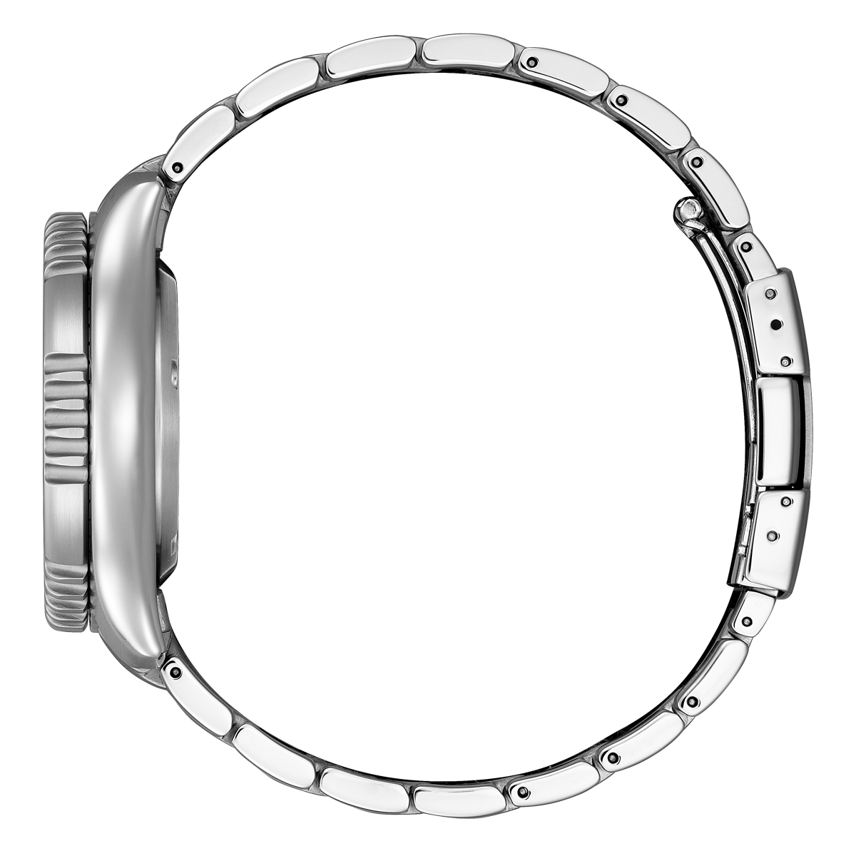 Promaster Marine Fugu