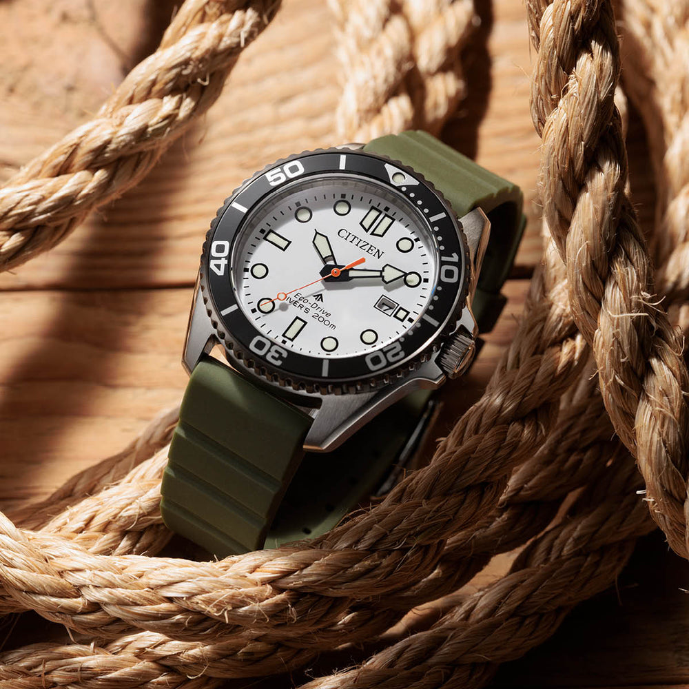 Promaster Marine