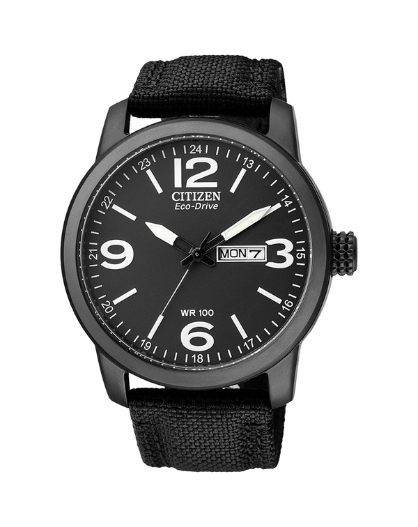 Citizen eco drive wr100 black deals