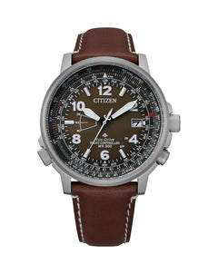 Promaster pilot outlet